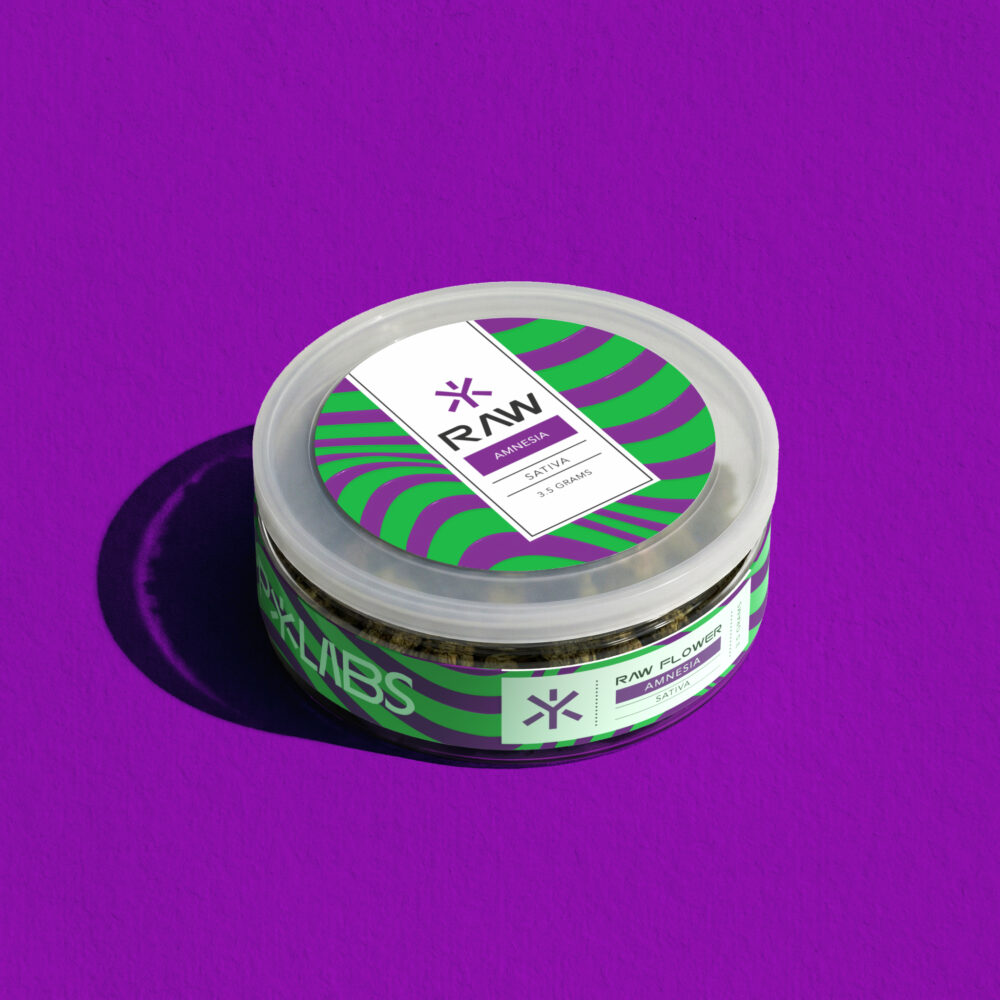 Amnesia// 3.5 Premium Pack