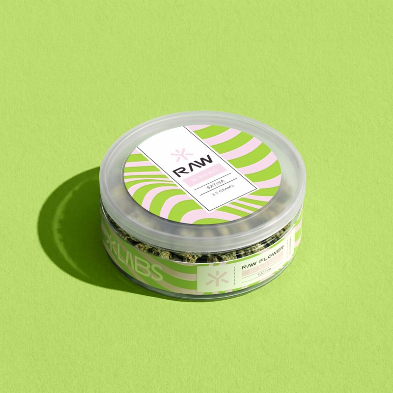 HP_Flw_Big Bud-Current View