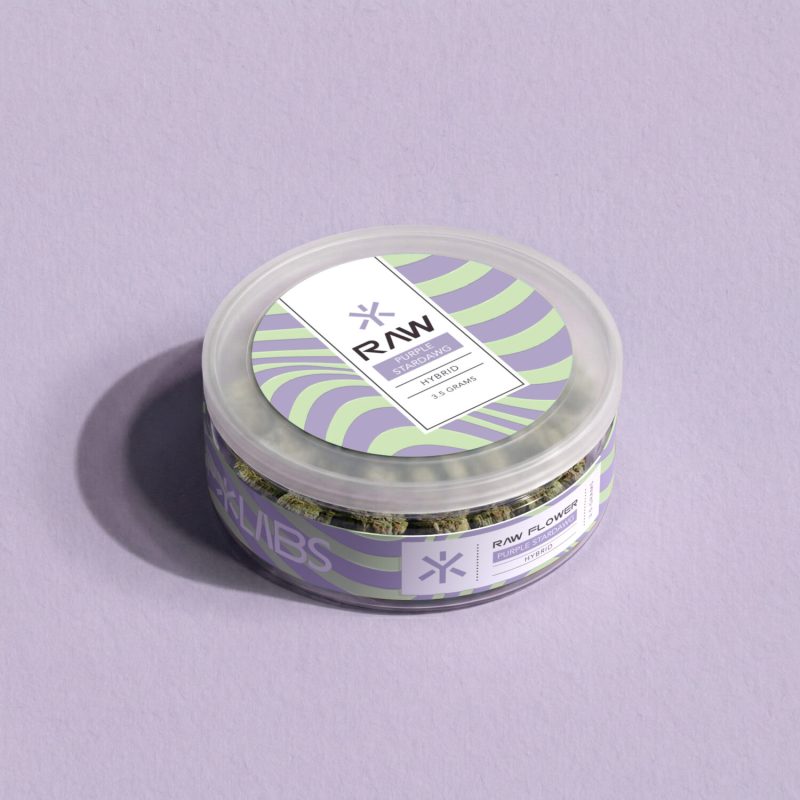 HP_Flw_PURPLE STARDAWGE-View 1