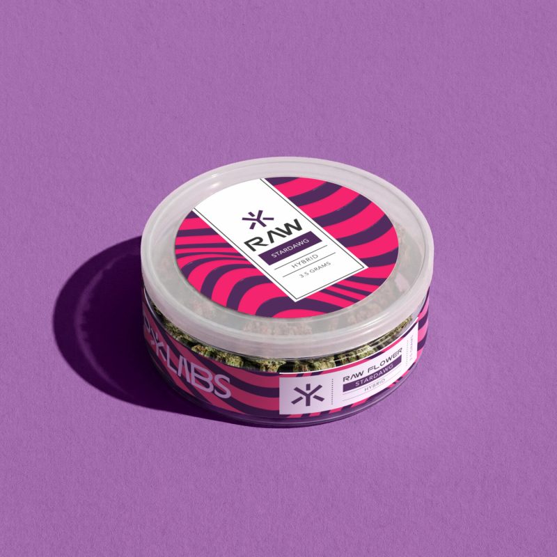 HP_Flw_Stardawg-Current View