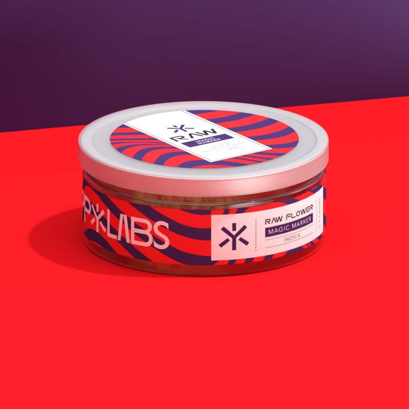 HP_just jar_MAGIC MARKER-Current View