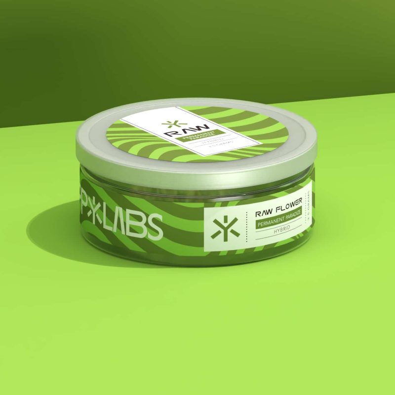 HP_just jar_Permanent Paradize-Current View